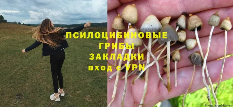 Галлюциногенные грибы Psilocybine cubensis  MEGA онион  Октябрьский 